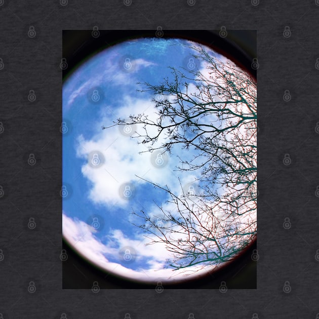 Planet Earth Environment with Blue Sky, White Cloud and Winter Tree by Supertonic